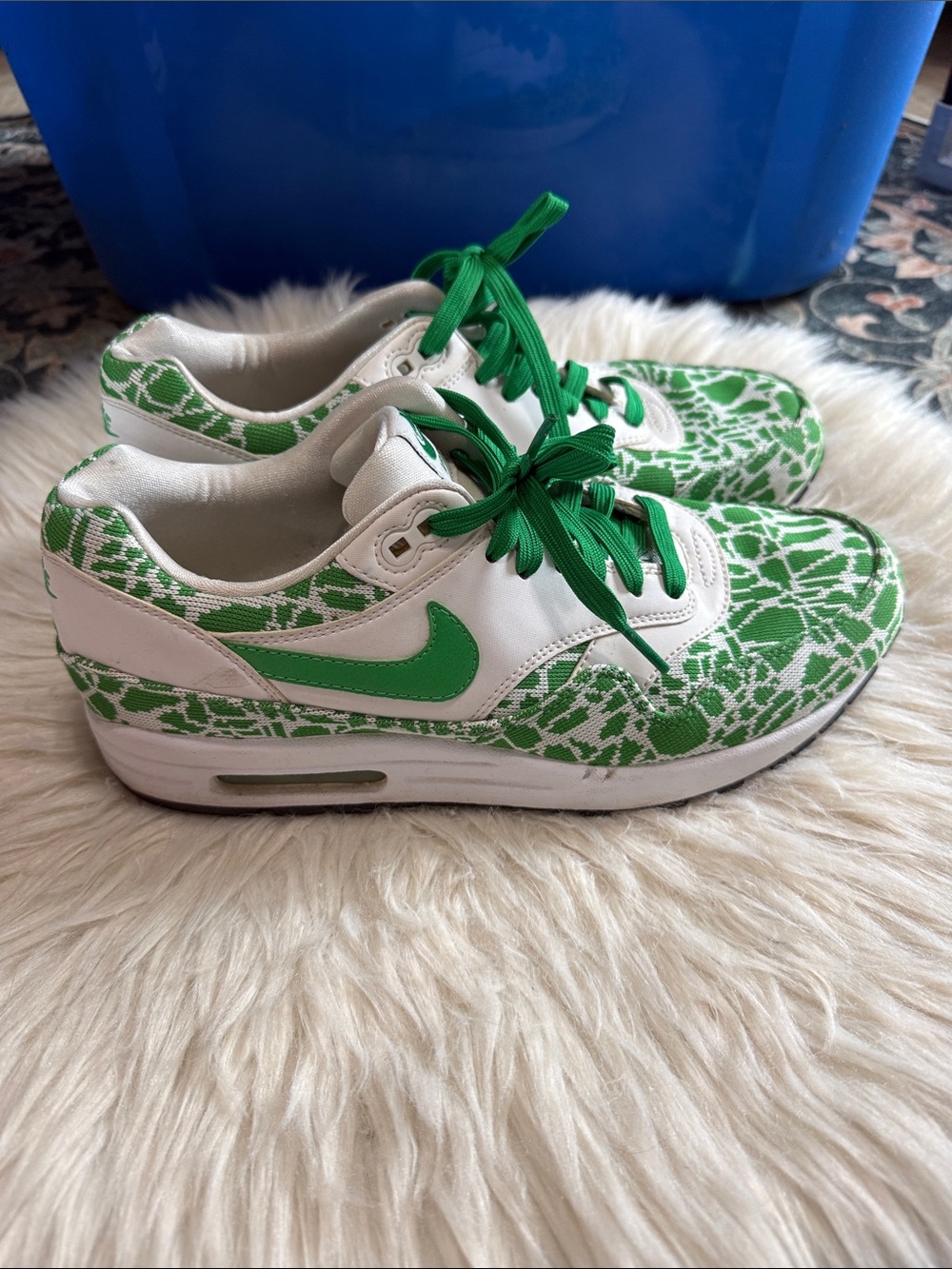 Nike women’s air max 1